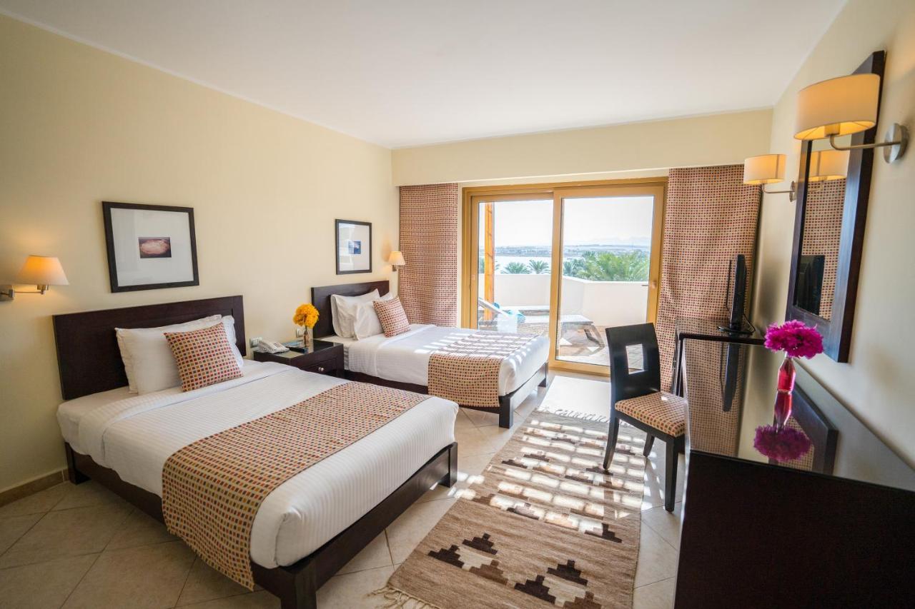 Suite Apartamento