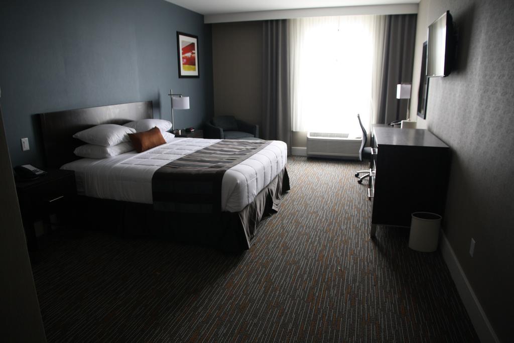 King Room Non-Smoking,1155499320:JPEG