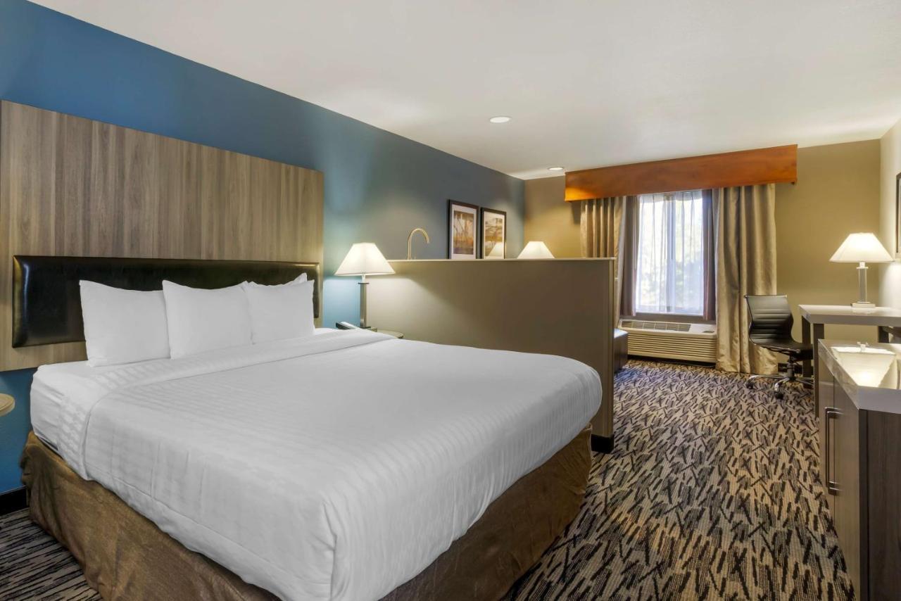 King Room - Disability Access,1328923001:JPEG