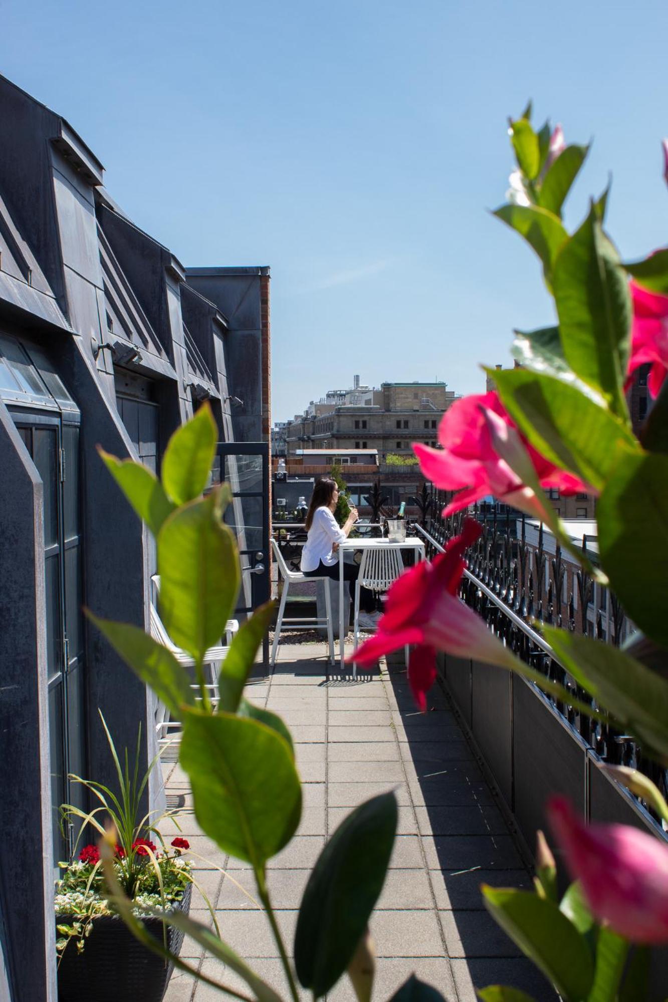 Suite Premium avec Terrasse