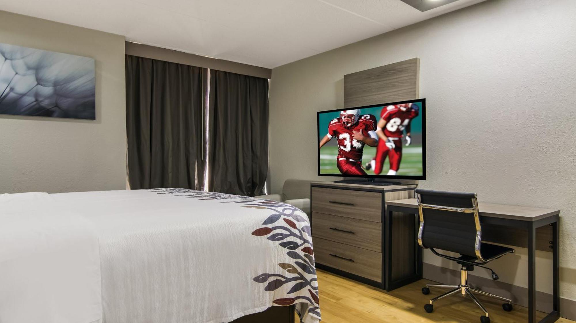 Standard Room with One Full Bed Disability Access Roll-In Shower Non-Smoking