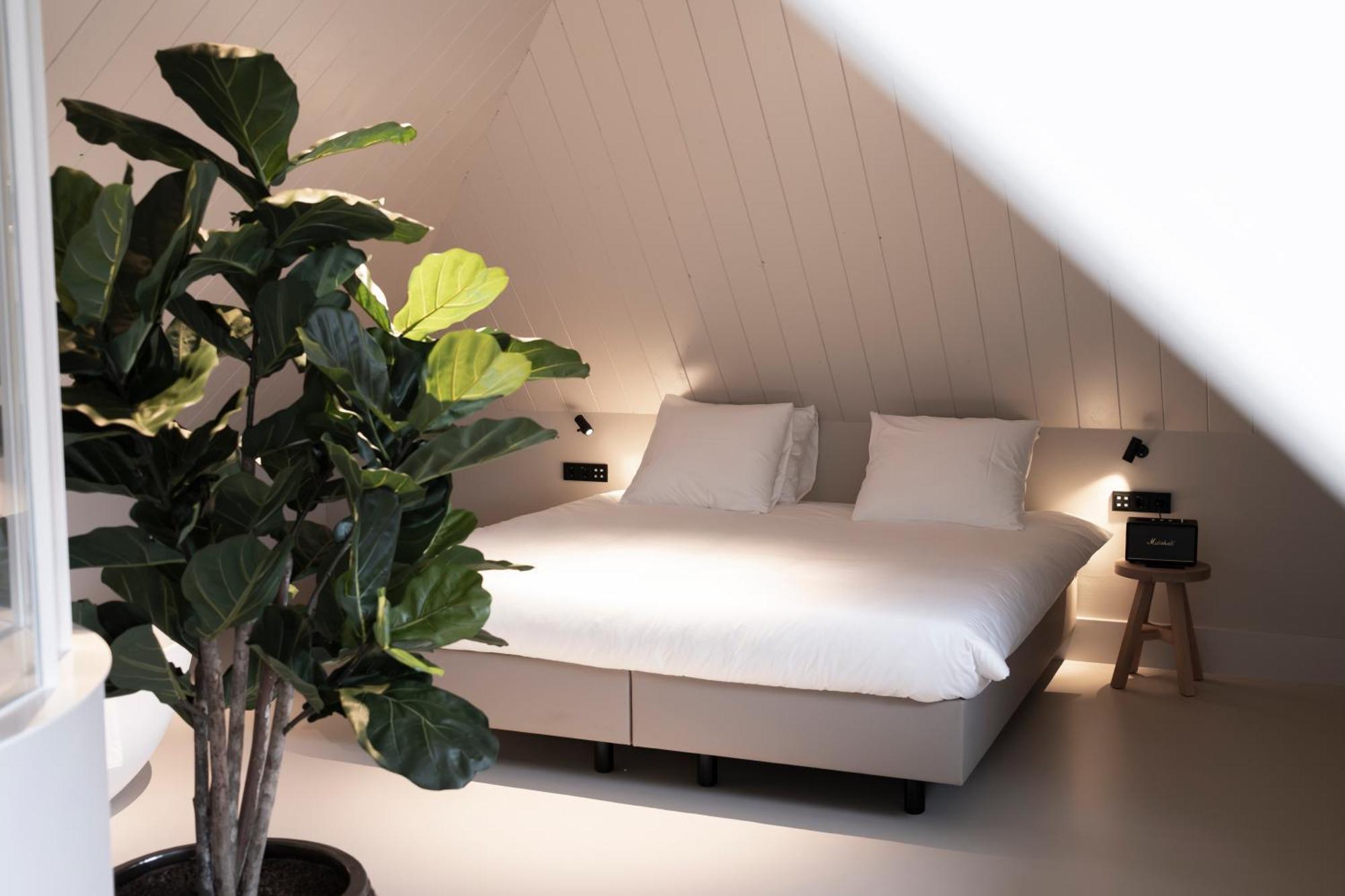 Deluxe Junior Suite