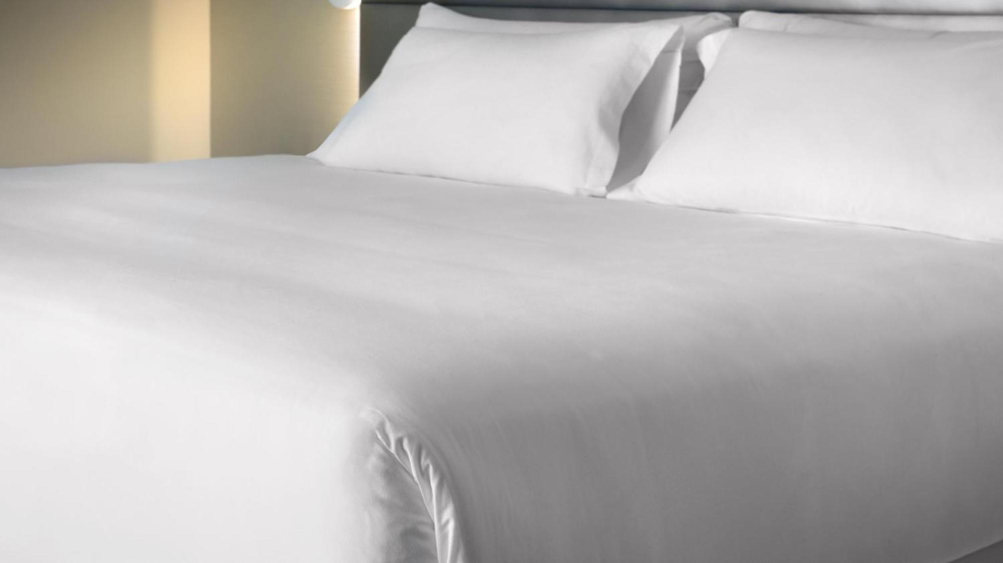 Standard Double or Twin Room,1709567830:JPEG
