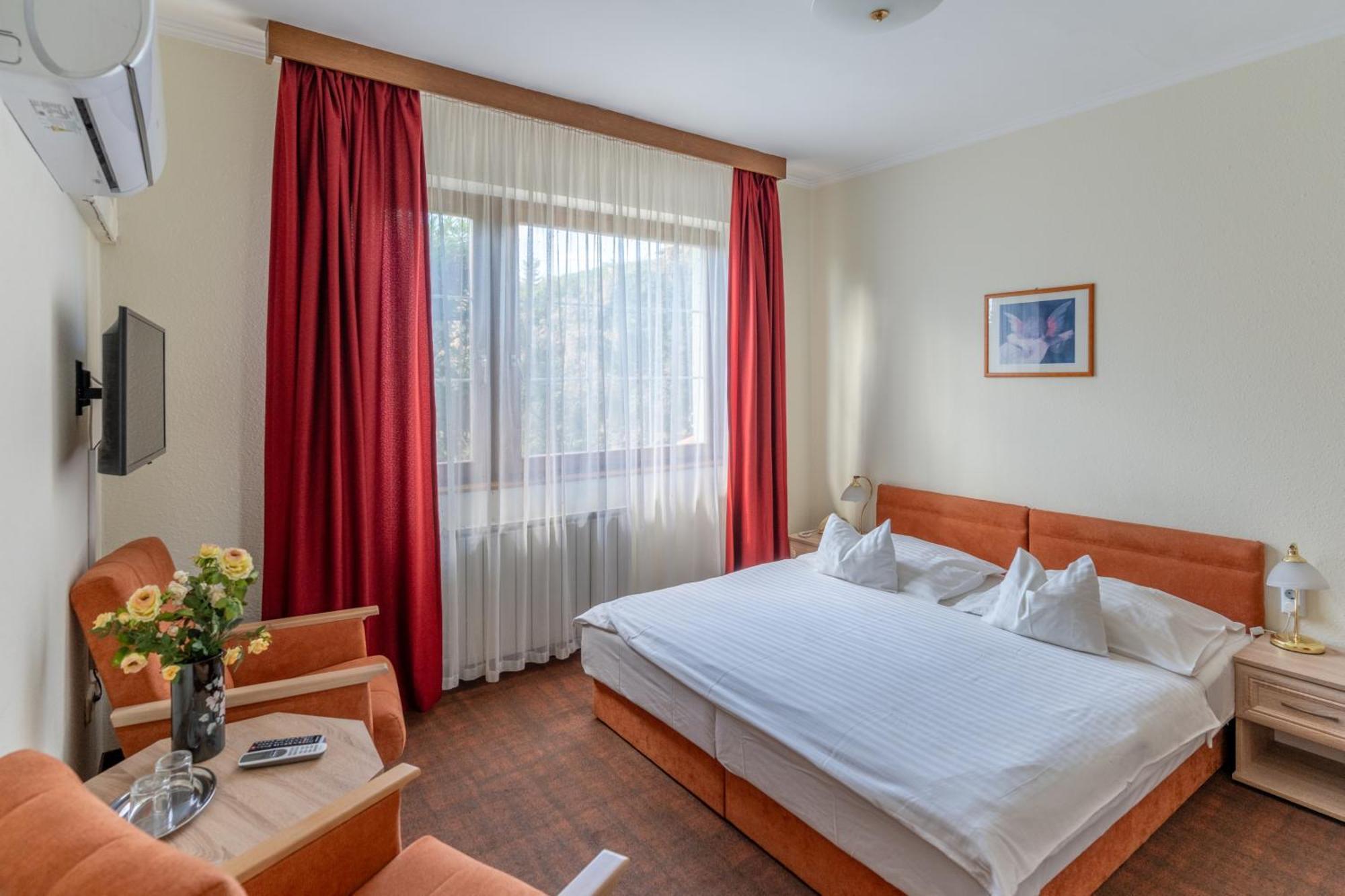 Habitación Individual Superior