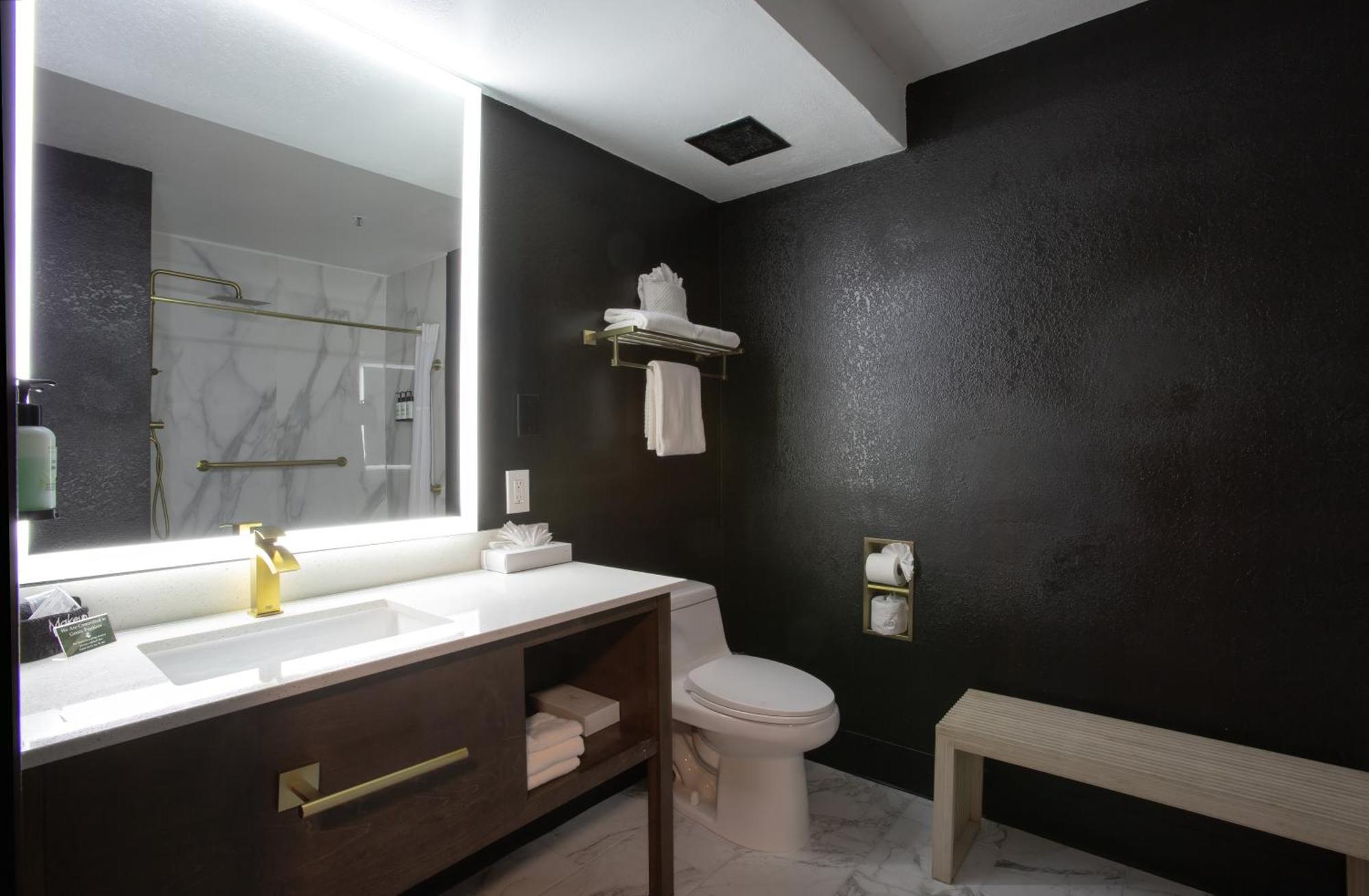 King Wellness Suite with Roll in shower - Accessible/Non-Smoking