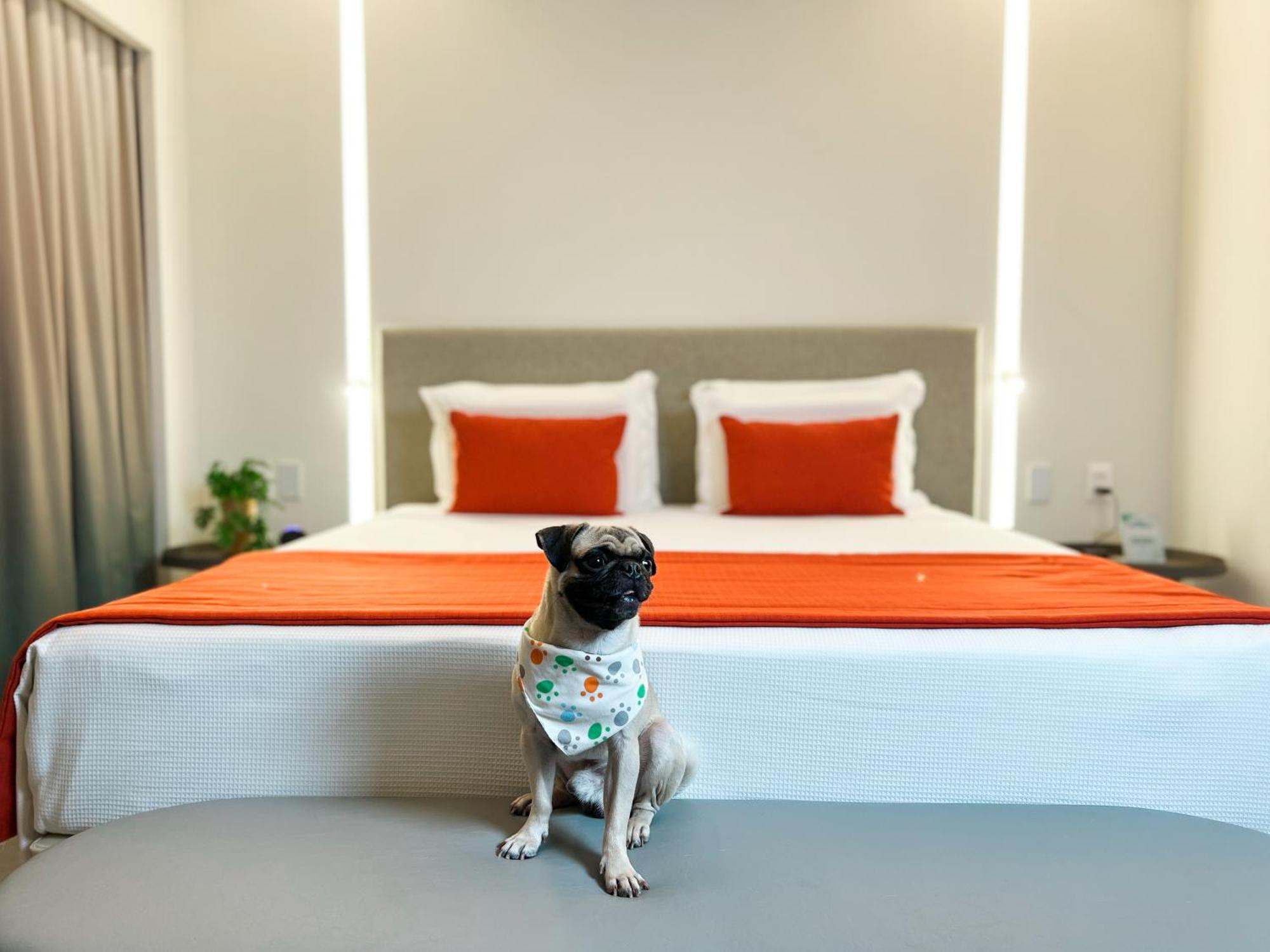 Garden Suite