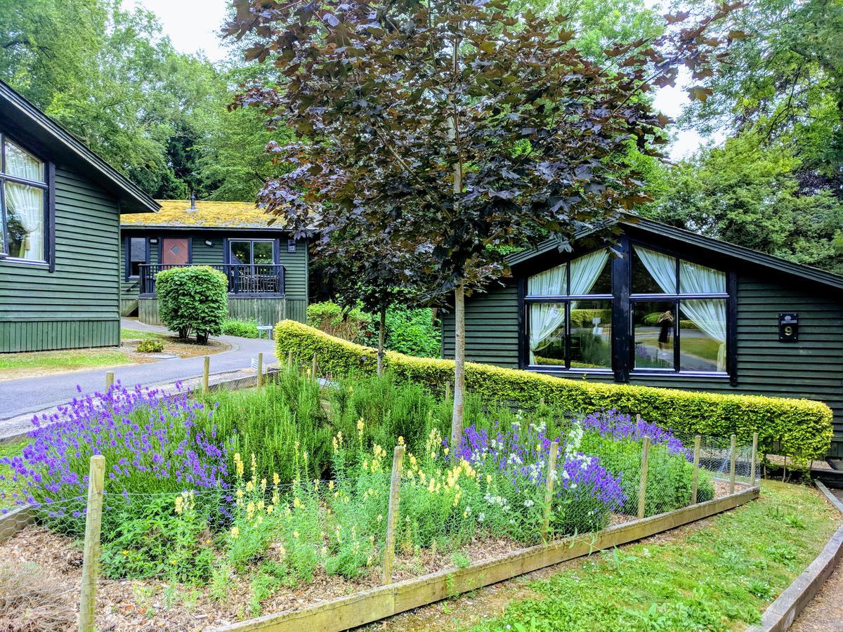 Lodge