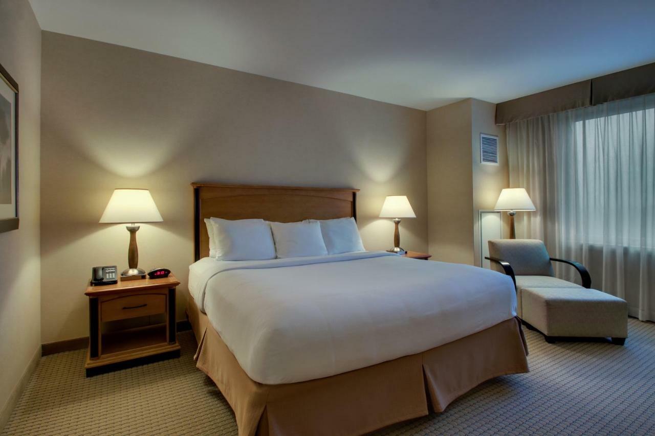 Deluxe King Room,846950156:JPEG