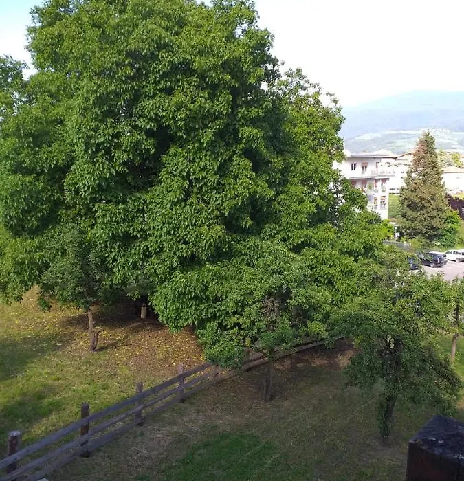 B&B Las Vegan-1