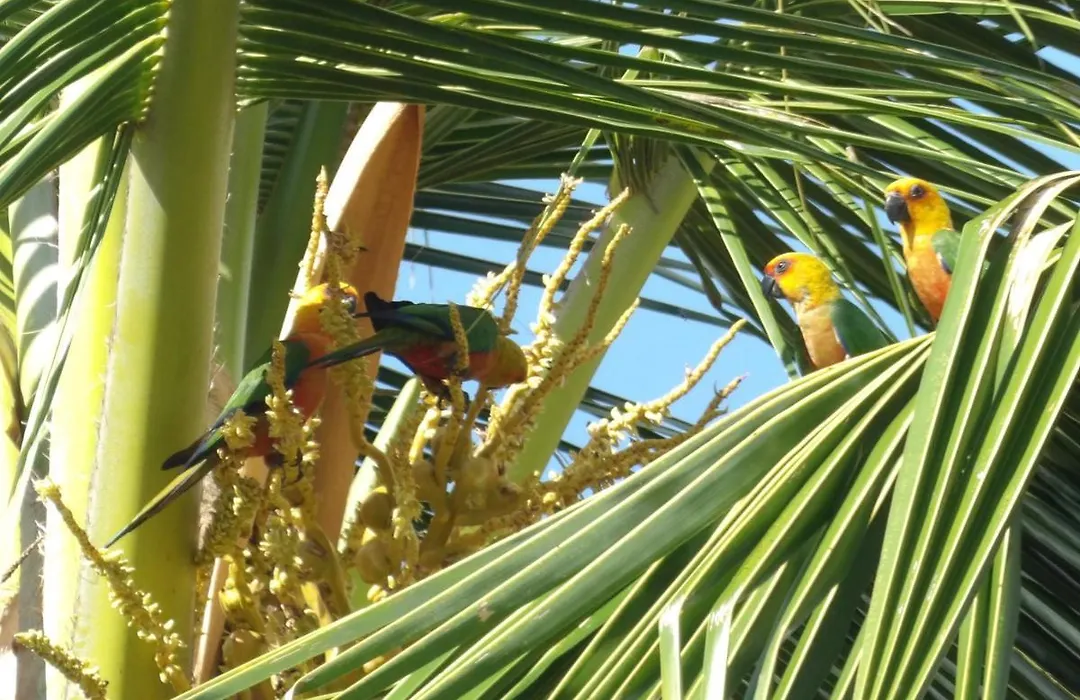 Pousada Do Ceu-1