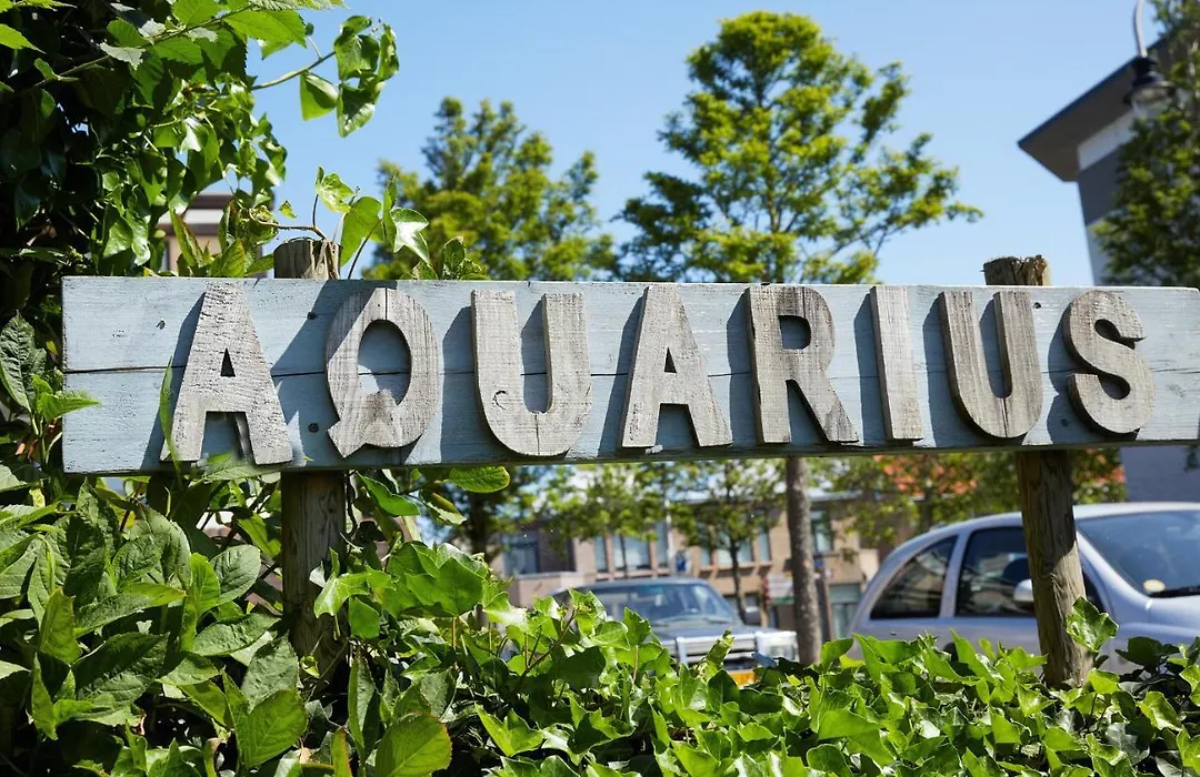 Guest House Aquarius-1