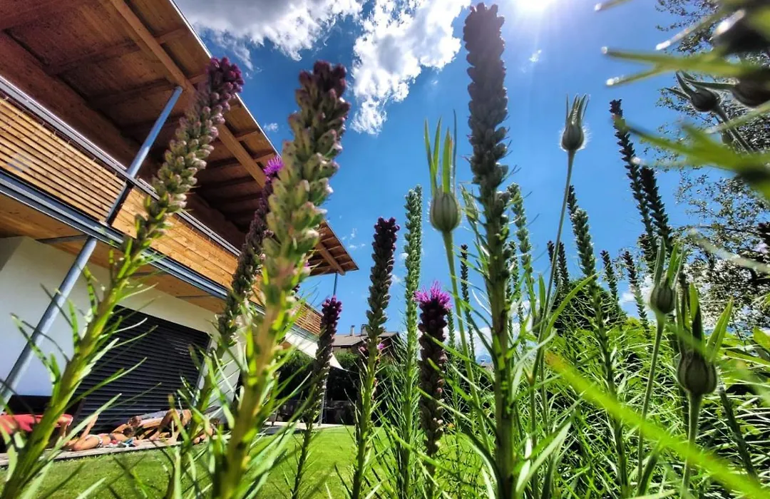 Casa De Fiemme-1