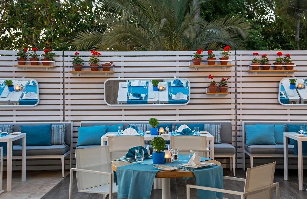 Acanthus Cennet Barut Collection-1