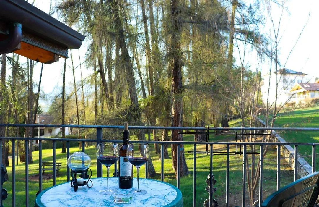 hotel Parco Pineta-1