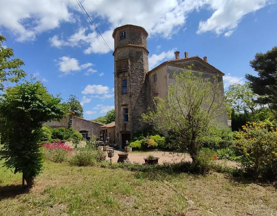 Château Saint-Martin-1
