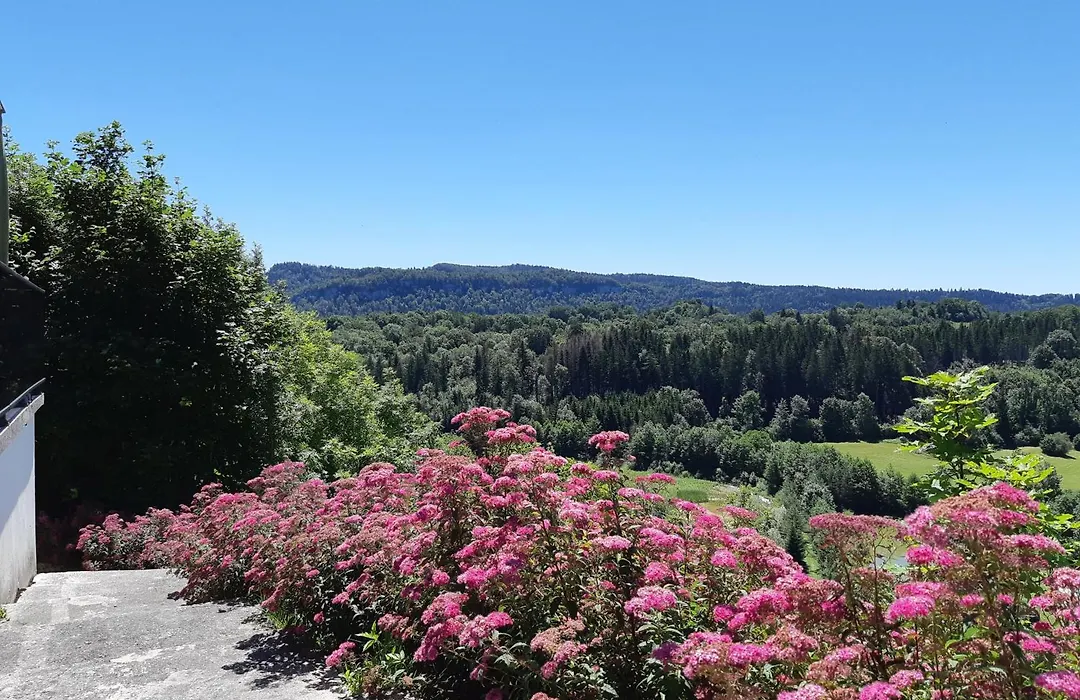 Les Alpages-1