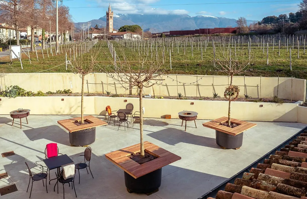 La Vigna di Sarah-1