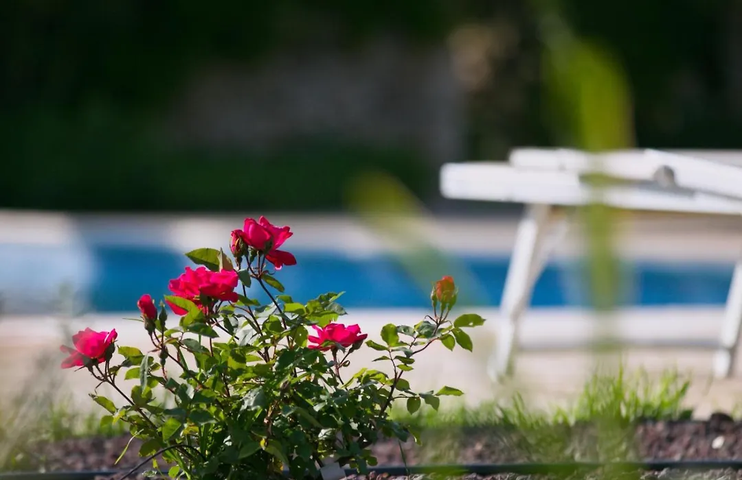 Masseria Trullo Sovrano Exclusive B&B-1