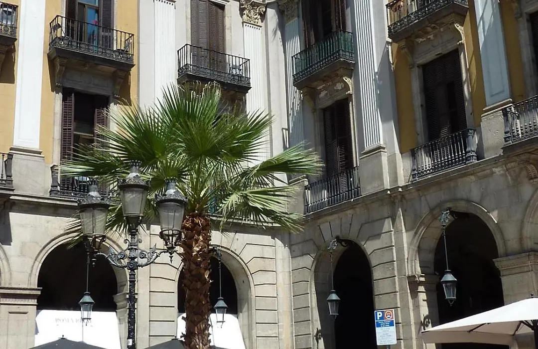 Roma Reial-1