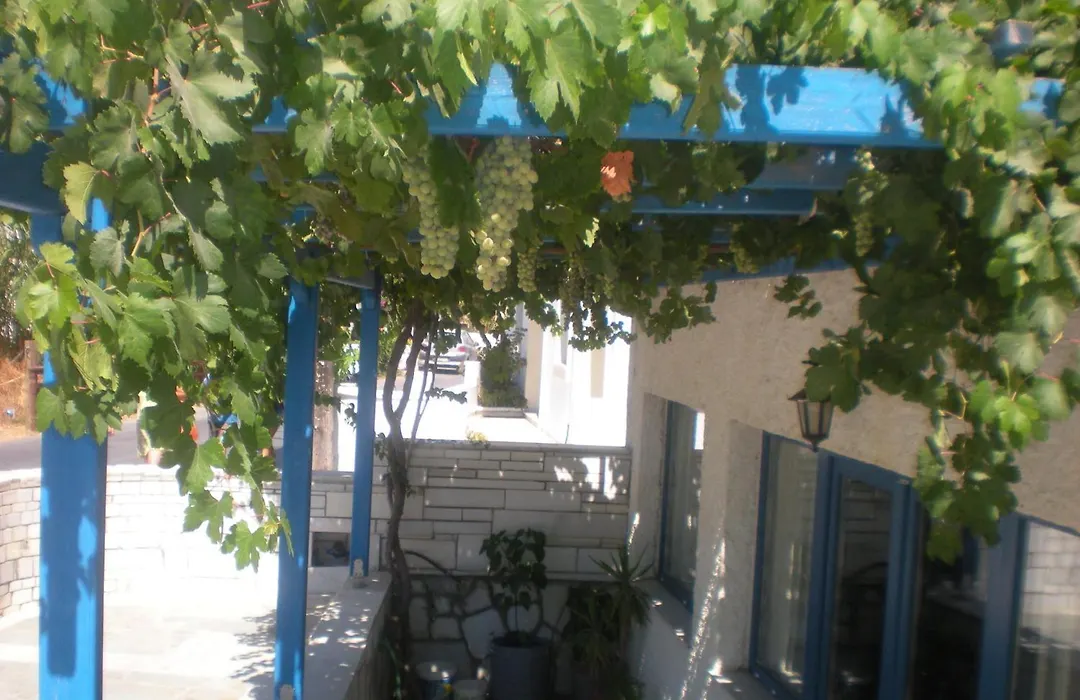 Hotel Rea-1
