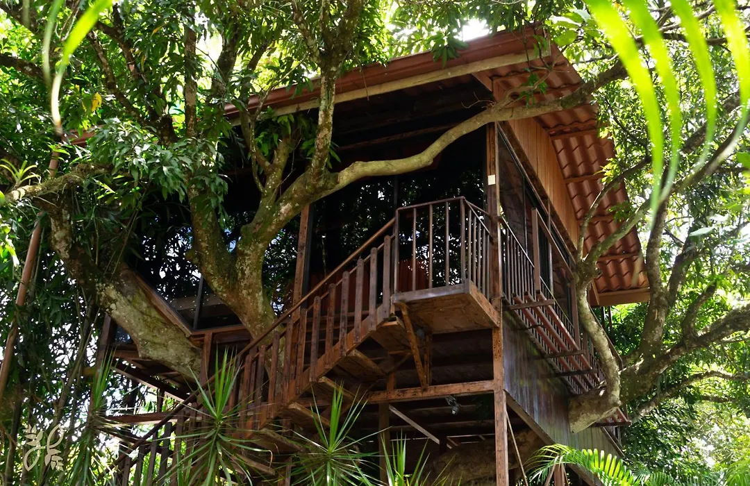 Hotel Heliconias Nature Inn & Hot Springs-1