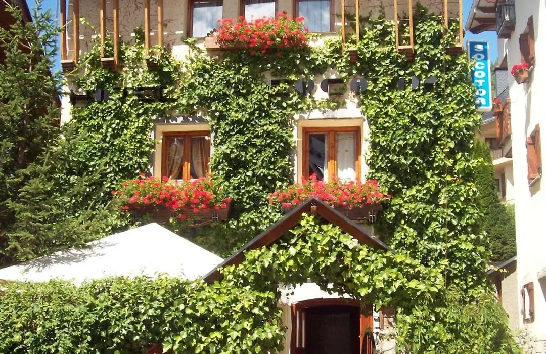 Hotel Casa Socotor-1