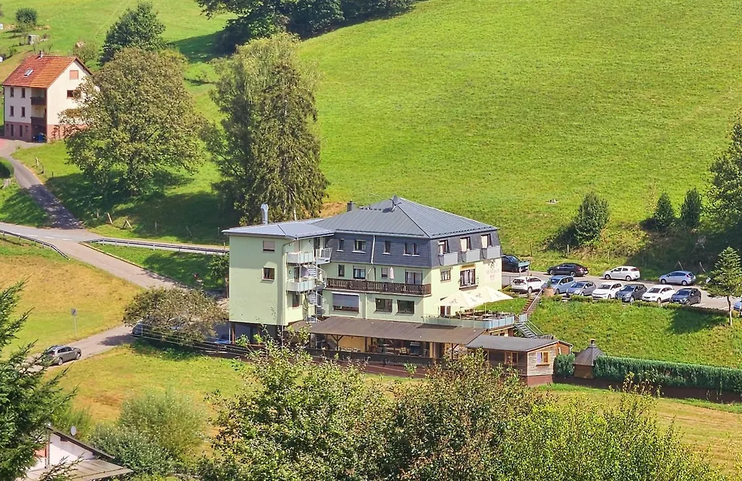 Hotel Grüner Baum mit Restaurant&Wellness-1