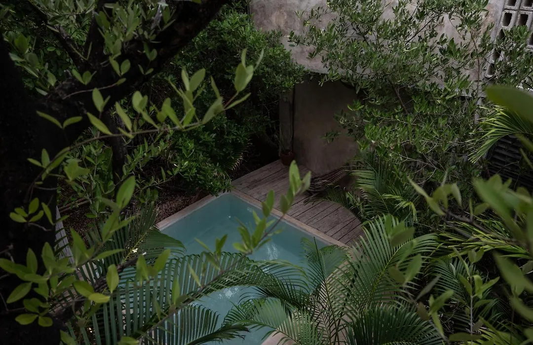Casa Coyote Tulum-1