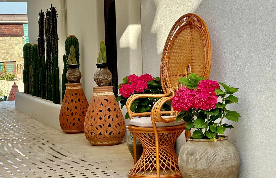 Casa De Oro Lujo-1