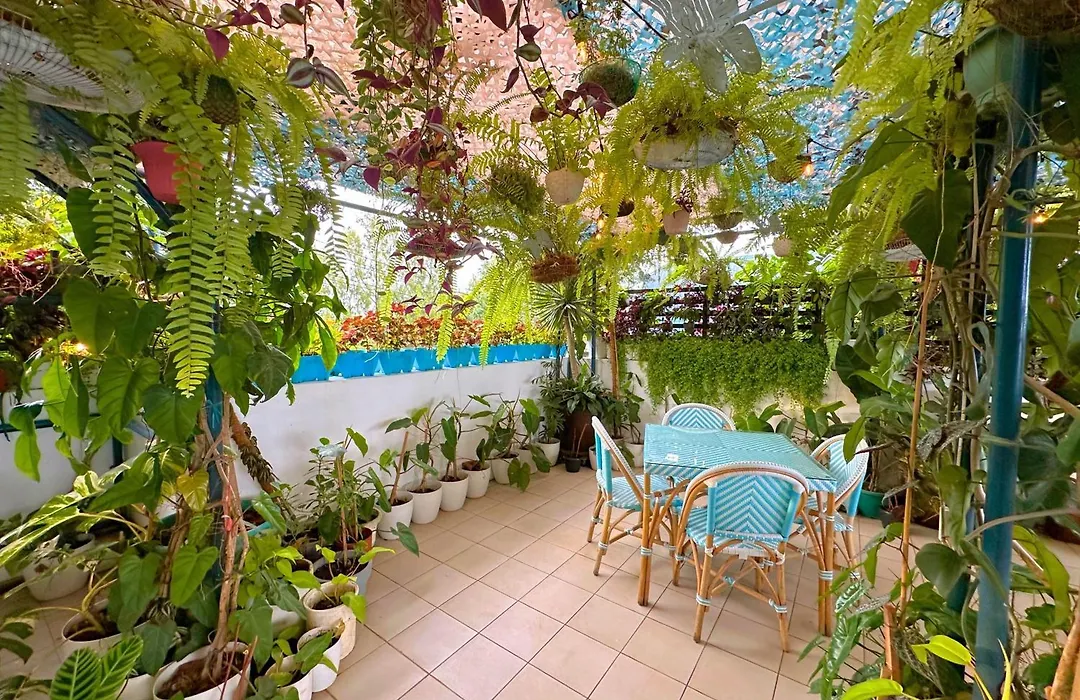 Cabins By Eco Hotels-1