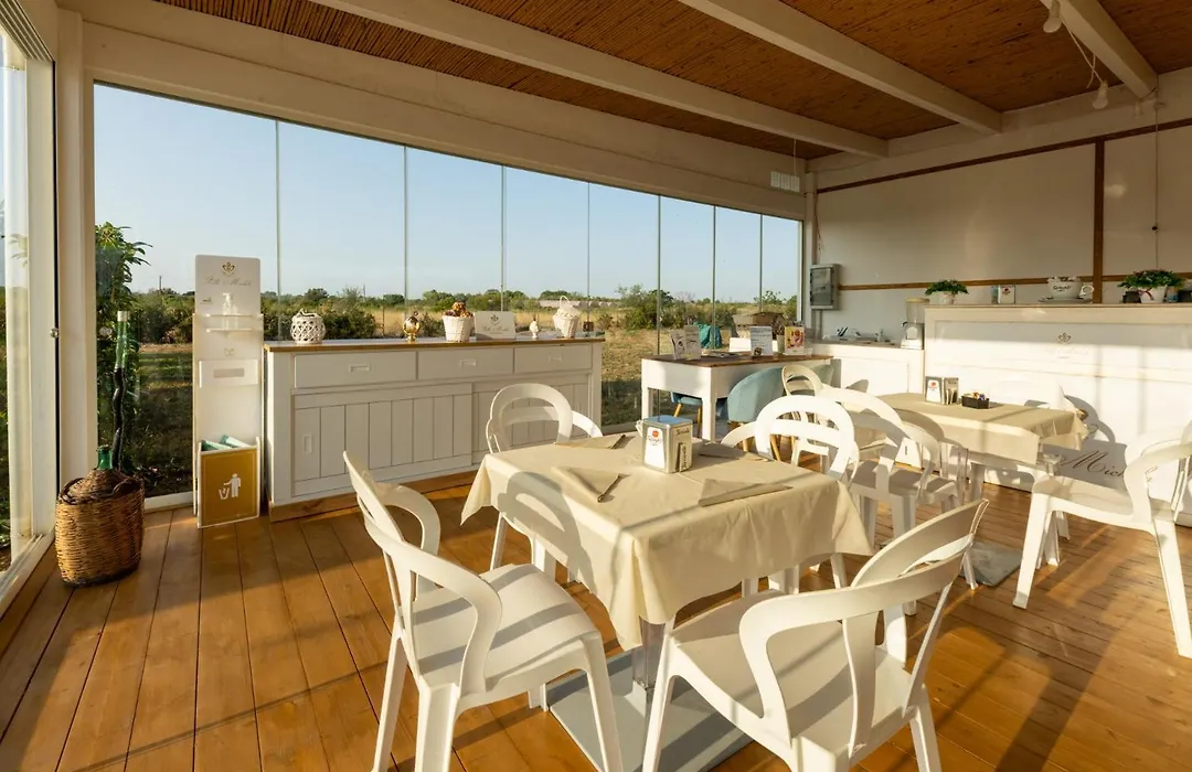 Bed&Breakfast Villa Michela Alezio-1