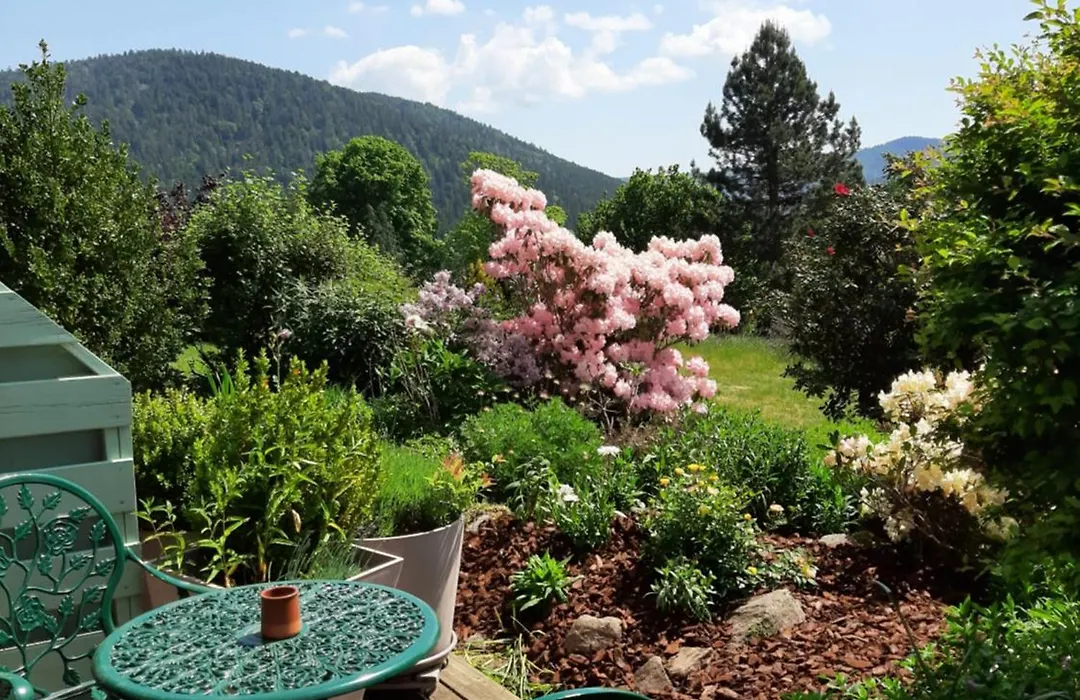 B&B Chalet l'Epinette-1