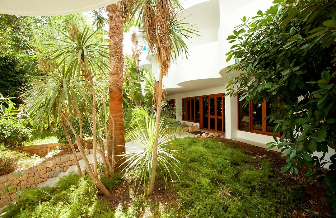 Sentido Fido Tucan - Adults Only-1