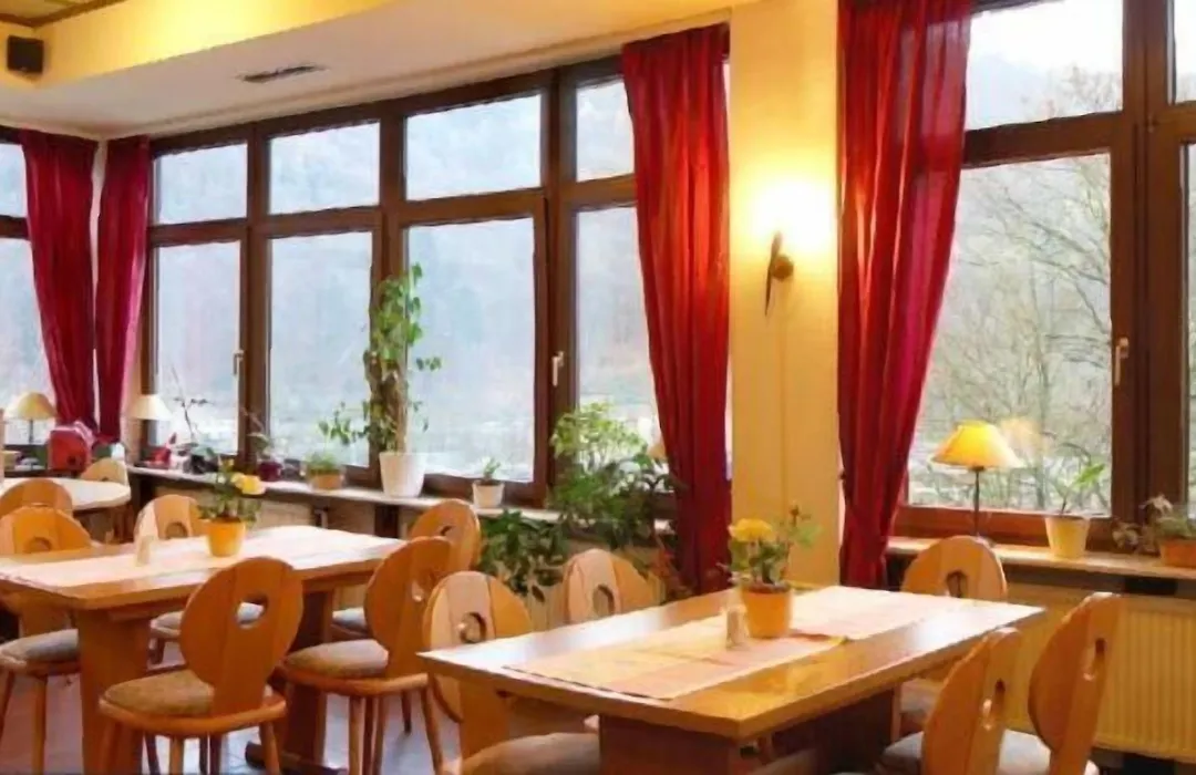Hotel zum Neckartal Heidelberg-1
