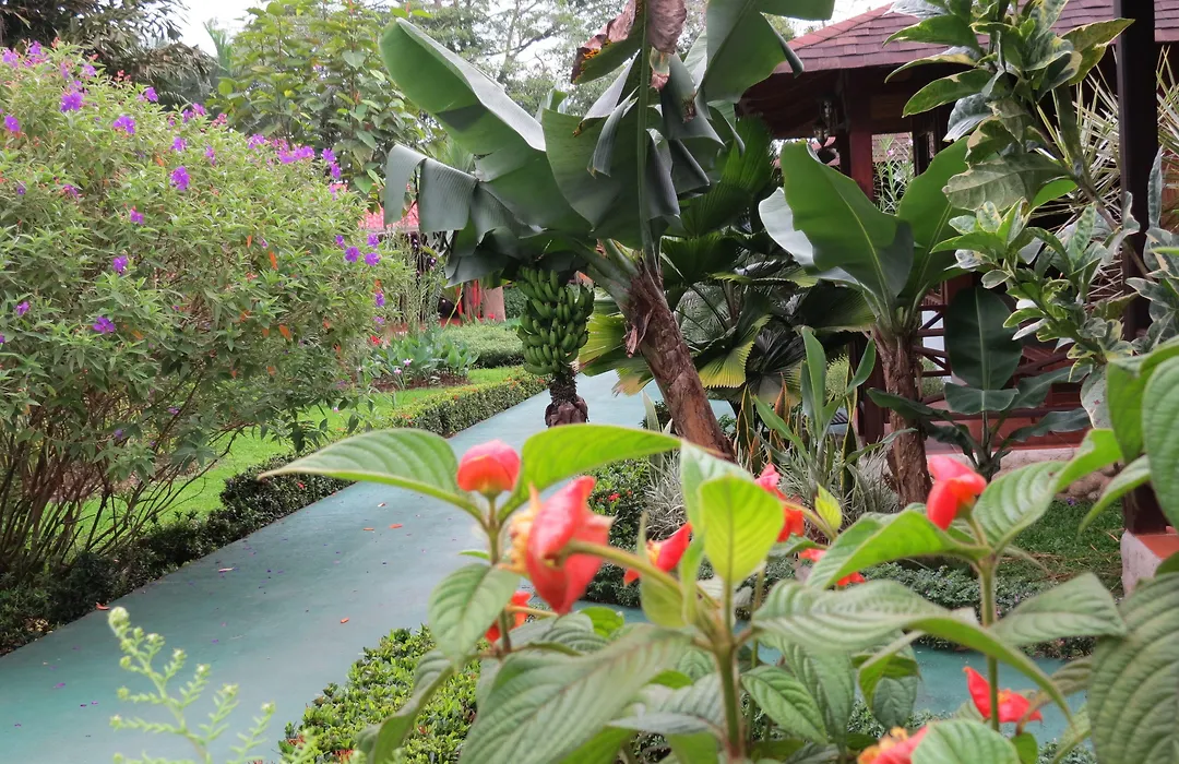 Hotel Arenal Montechiari-1
