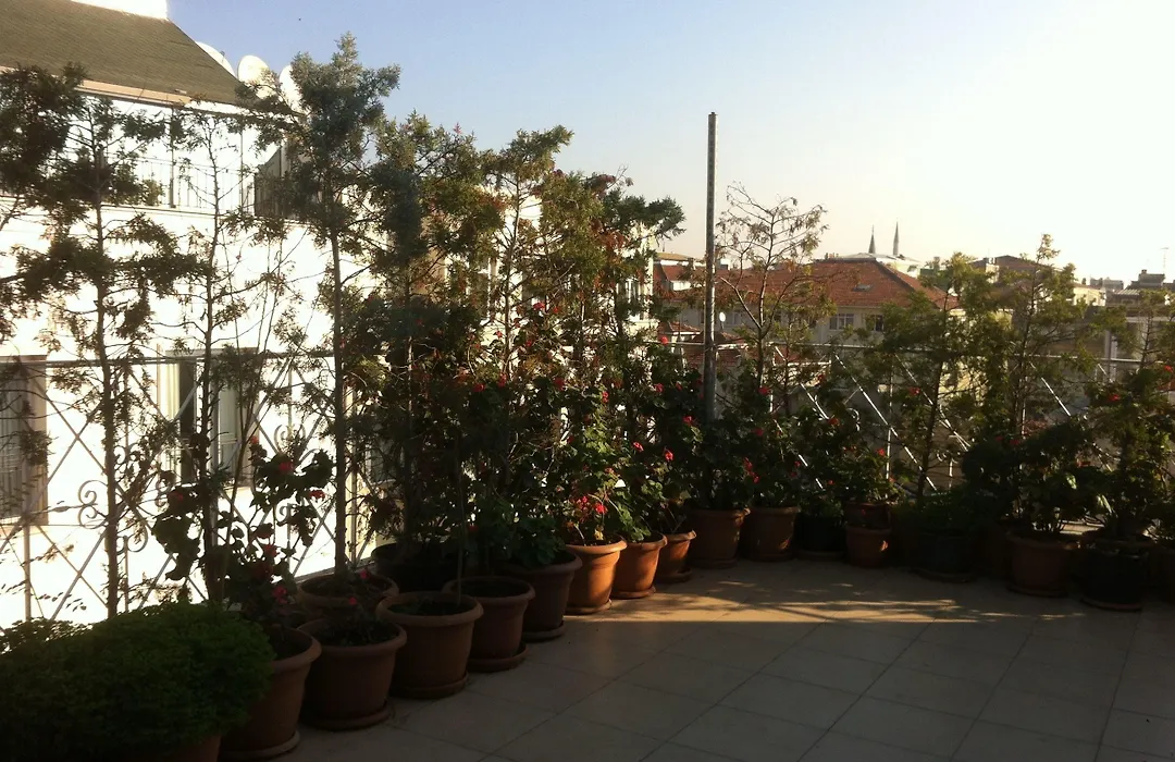 Hotel Linda-1