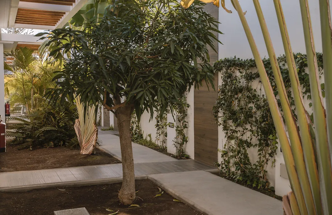 Aevum Resort-1