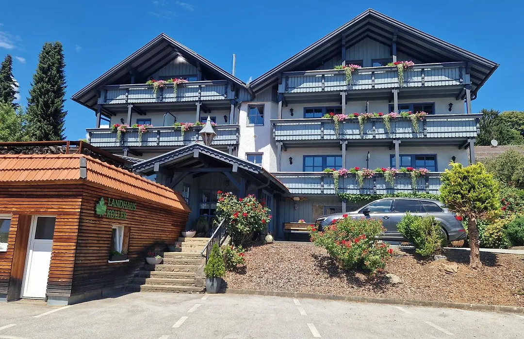 Pension Landhaus Koller - Adults only-1