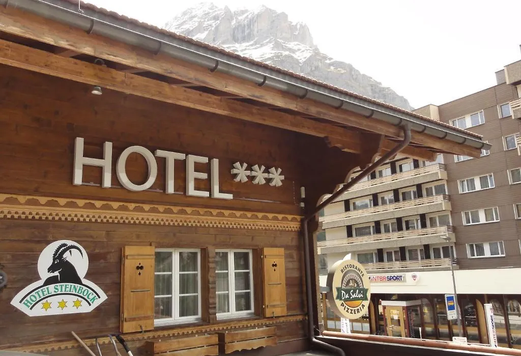 Hotel Steinbock Grindelwald-1