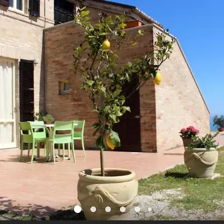 La Collina sul Mare-2