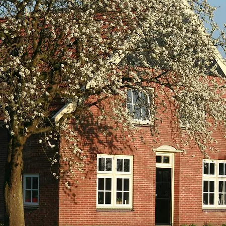 B&B Erve ten Dam-3