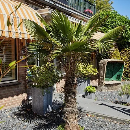 Guest House Aquarius-2