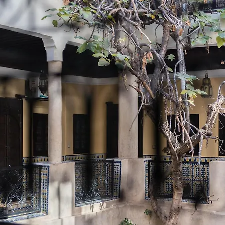 Riad Omar-3