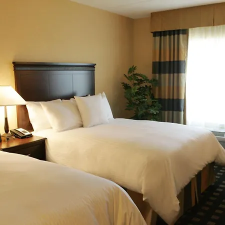 Homewood Suites By Hilton Toronto Airport Corporate Centre-3