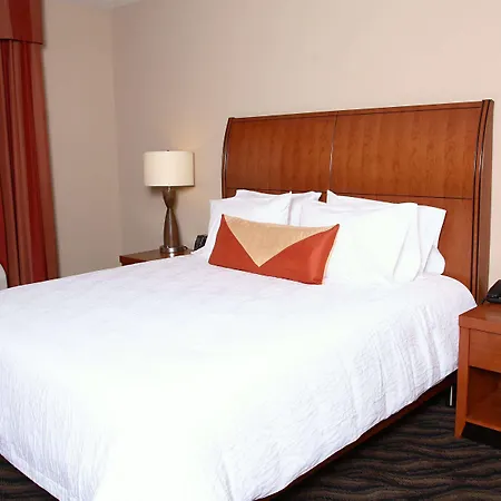 Hilton Garden Inn Chesapeake/Suffolk-3
