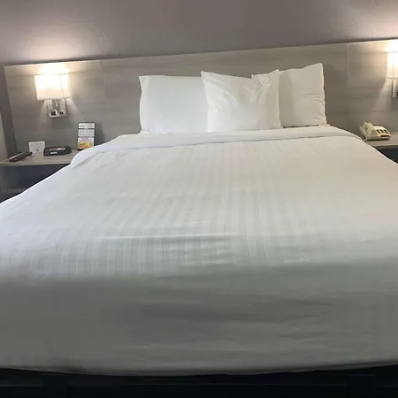 Microtel Inn By Wyndham Charlotte Airport-3