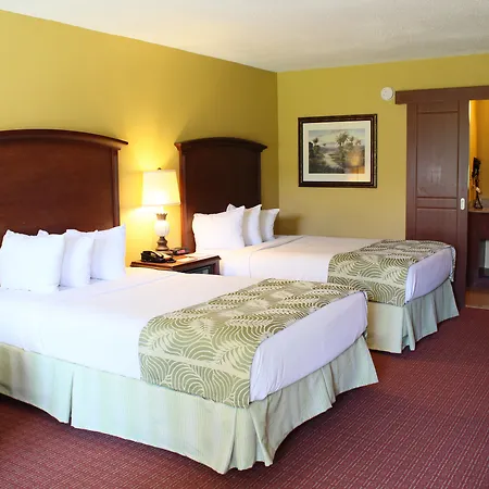 Rosen Inn International Near The Parks-2