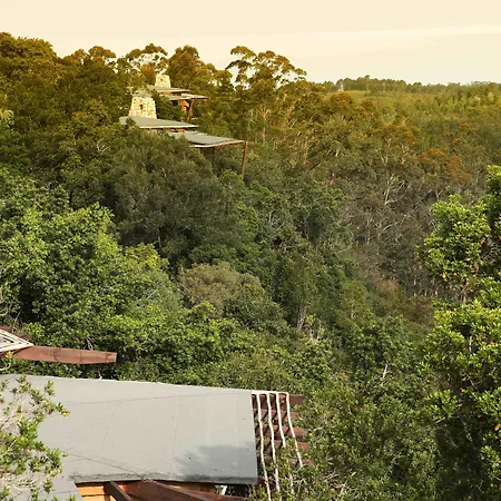 Tsala Treetop Lodge-3