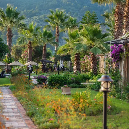 Dalyan Resort - Special Category-3