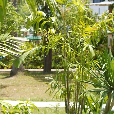 Treeya Lanta-2